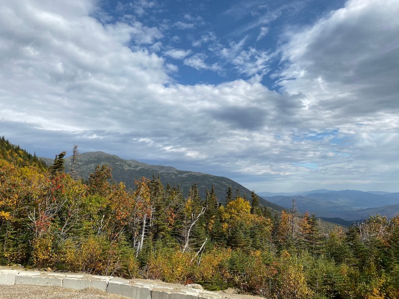 Drive Your Way to Dizziness on the Auto Road Drive Your Way to Dizziness on the Auto Road