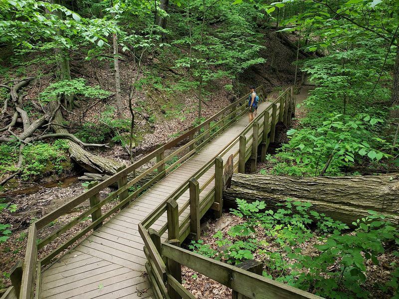 Dunes, Woods, and Trails Worth Adding to the Day