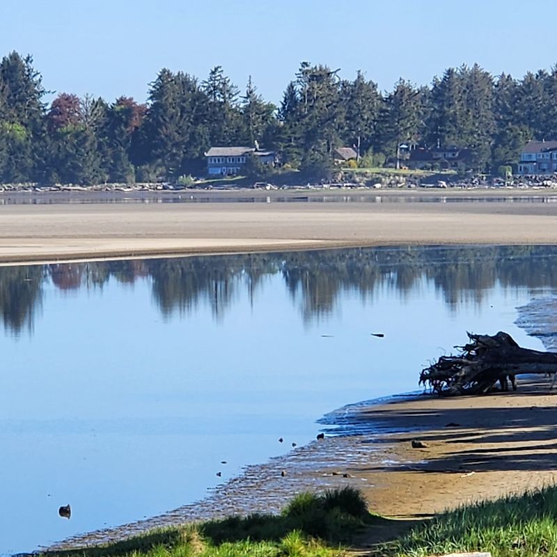 Eagles, Herons And Quiet Water On The Necanicum