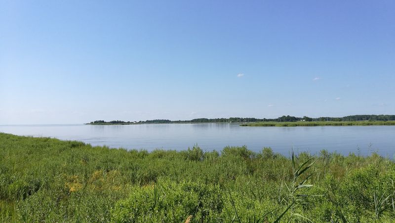 Eastern Neck National Wildlife Refuge, Rock Hall