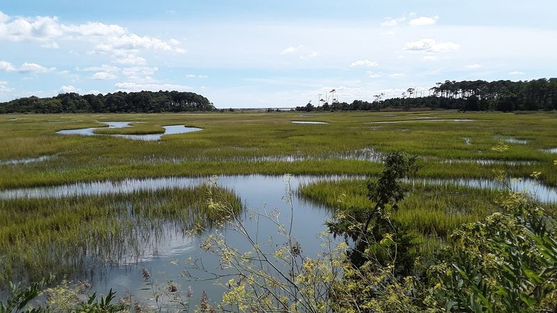 Eastern Shore of Virginia National Wildlife Refuge Offers Pure Serenity Eastern Shore of Virginia National Wildlife Refuge Offers Pure Serenity