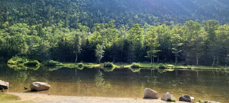 Echo Lake State Park and the Calm Before the Crowd