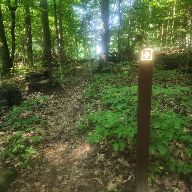 Ed Dailey Nature Trail Links Two Waterfalls Ed Dailey Nature Trail Links Two Waterfalls