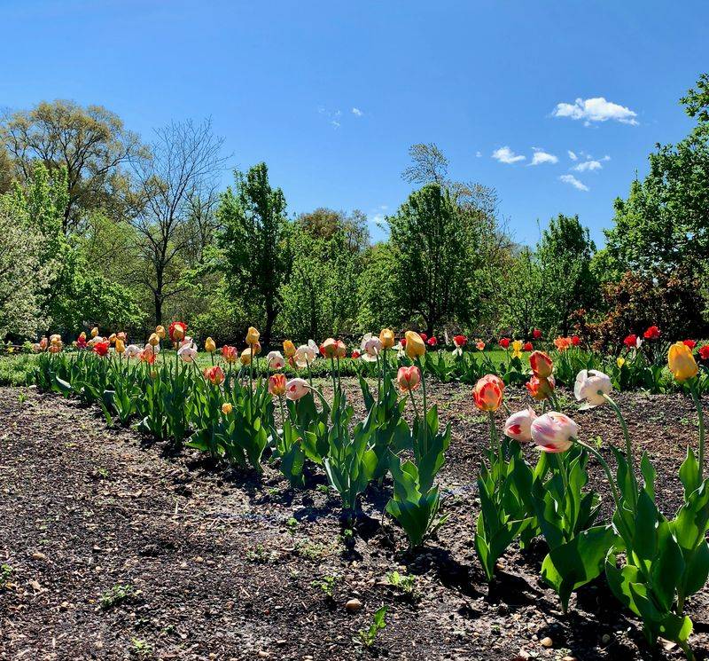 Eight Garden Plots Full of Color and Crops