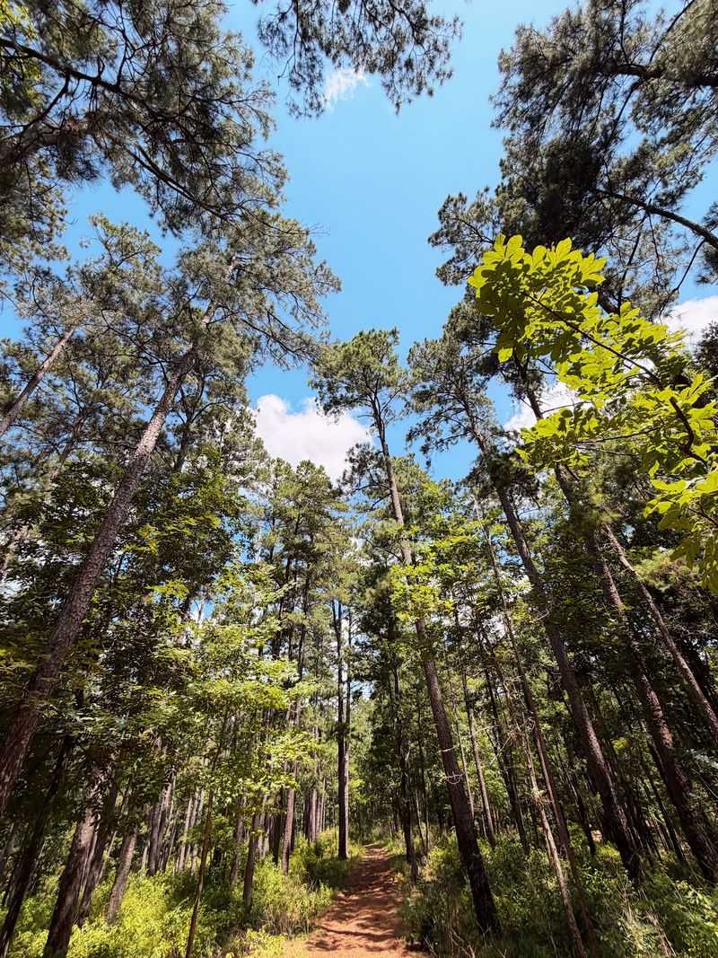 Eight Miles Of Trails That Range From Easy Strolls To Leg Burners Eight Miles Of Trails That Range From Easy Strolls To Leg Burners