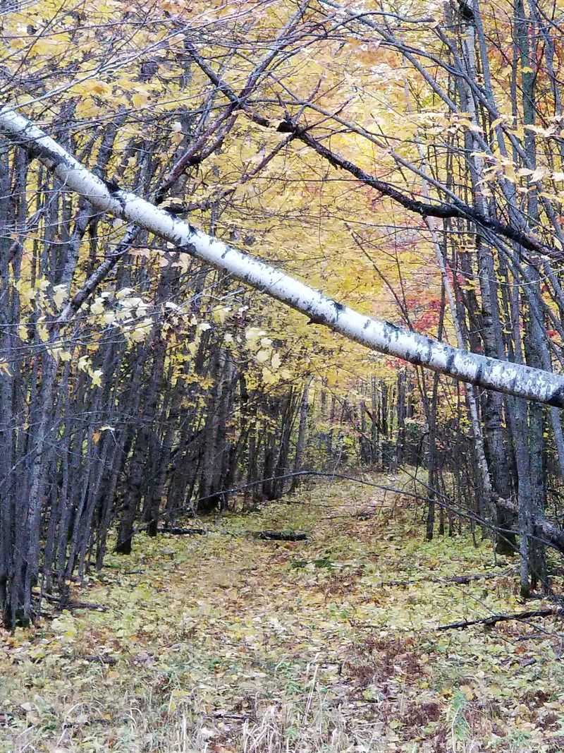 Embarrass, Minnesota