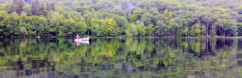 Emerald Waters That Will Steal Your Breath