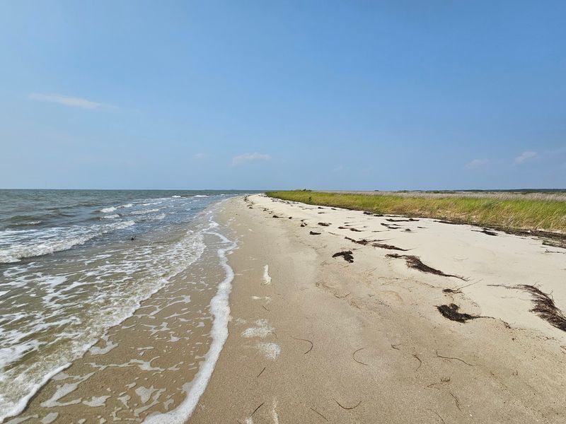 Empty Sand Along Tangier Sound