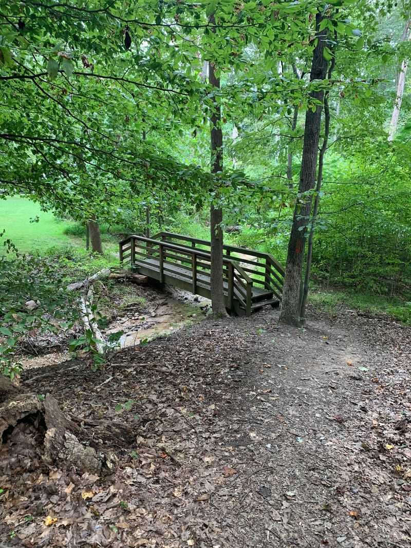 Equestrian Trails for a Different Kind of Ride