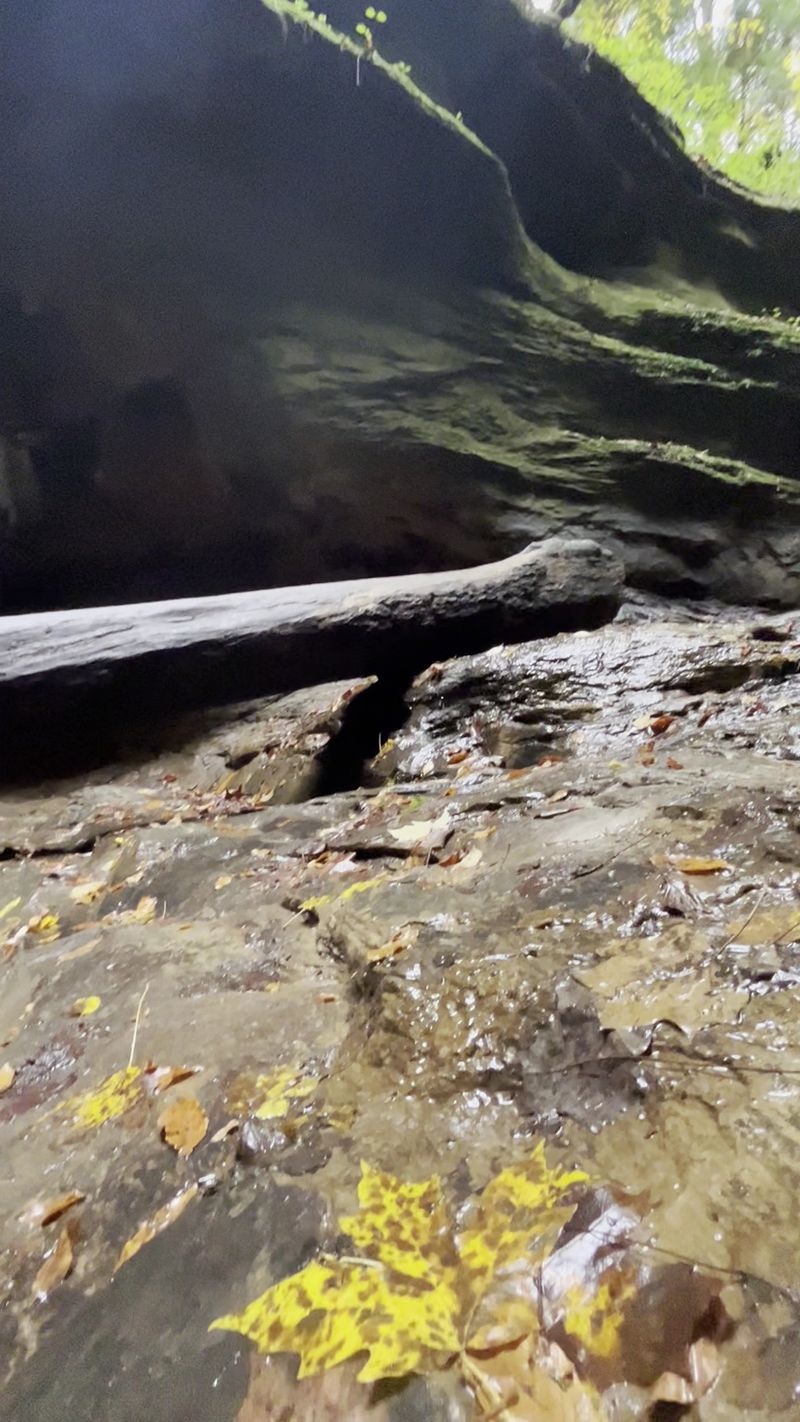 Expect Wet Feet, Because The Creek Bed Is The Path