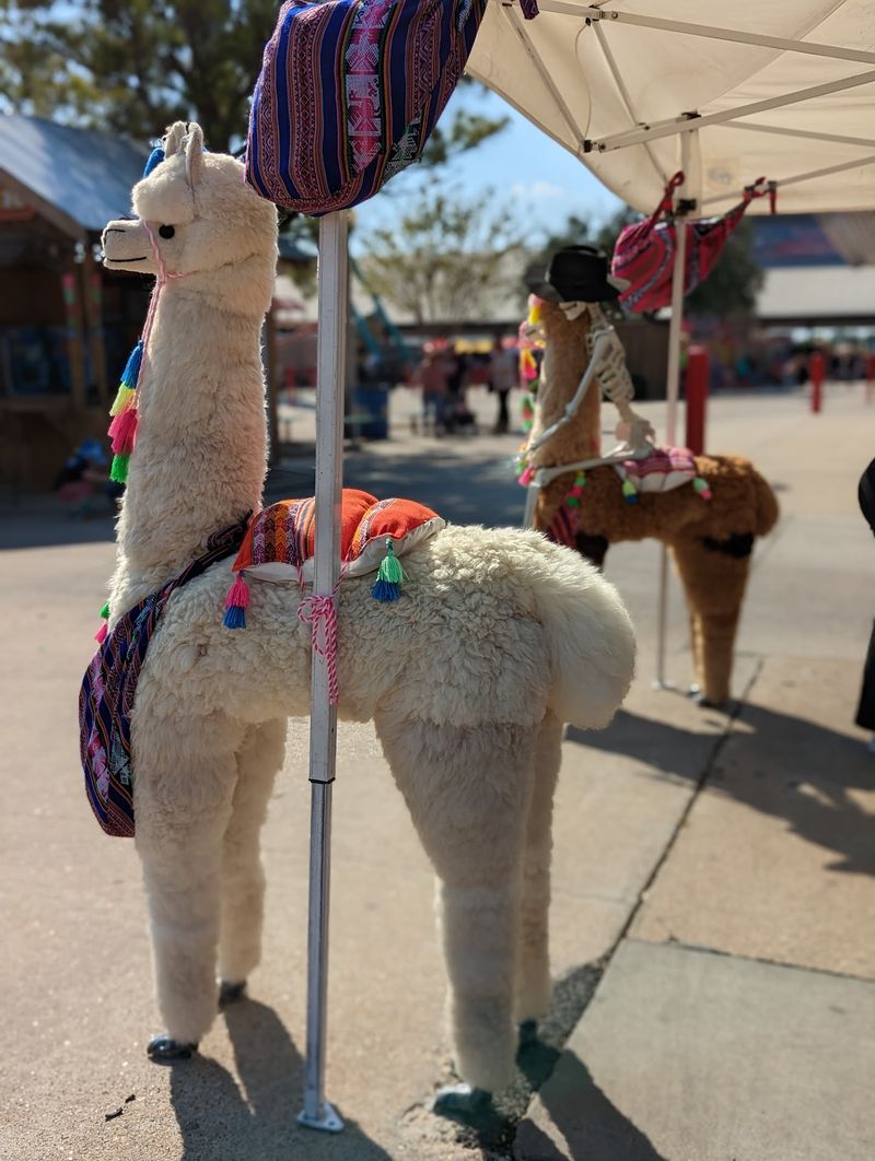 Fair Food Favorites That Make The Walk Worth It