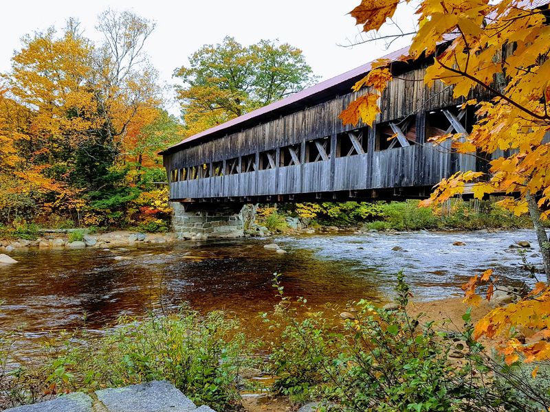 Fall Foliage That Turns Photographers into Poets Fall Foliage That Turns Photographers into Poets