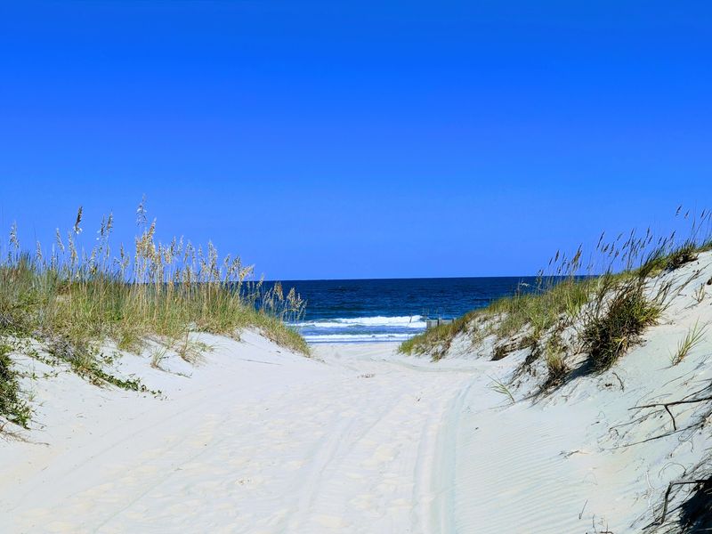 False Cape State Park, Virginia Beach False Cape State Park, Virginia Beach
