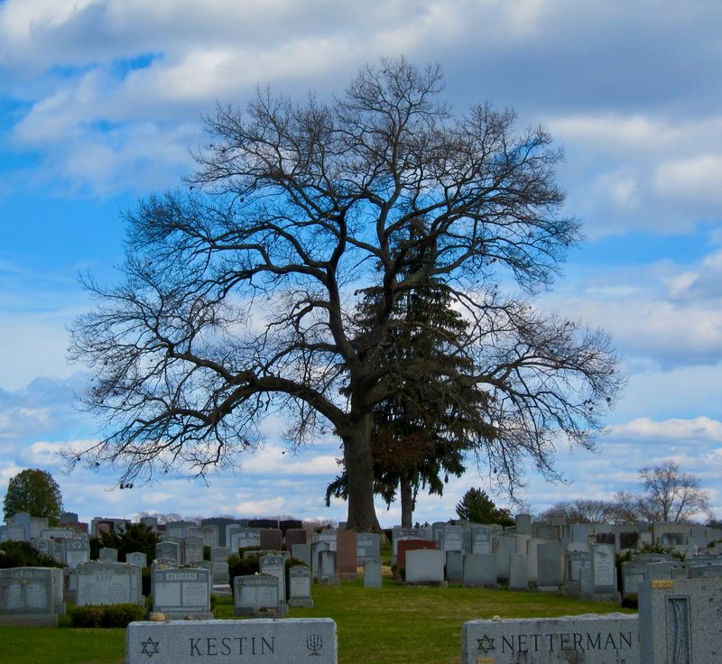 Far More Than a Quiet Cemetery Far More Than a Quiet Cemetery