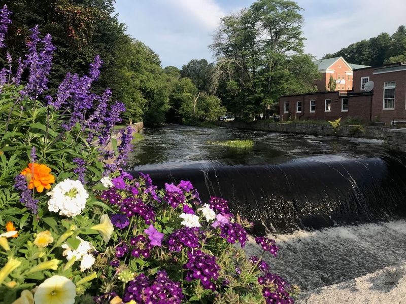 Farmers Markets, Festivals, and the Town's Irresistible Community Pulse