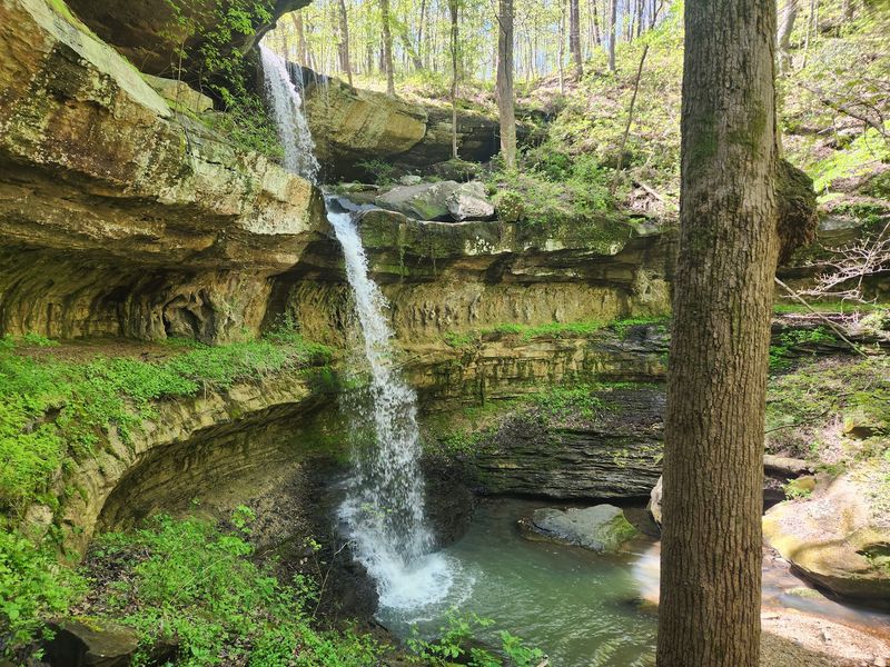 Fern Caves, Rock Shelters, And Cool Damp Corners