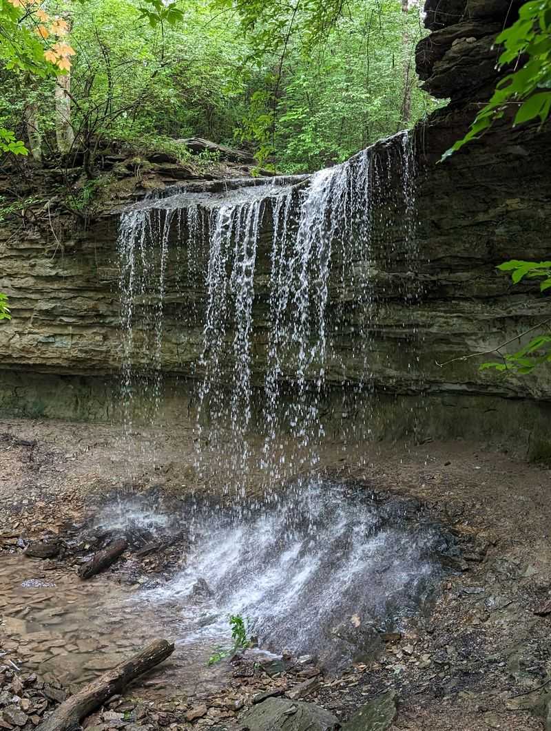 Find Your Perfect Picnic Spot