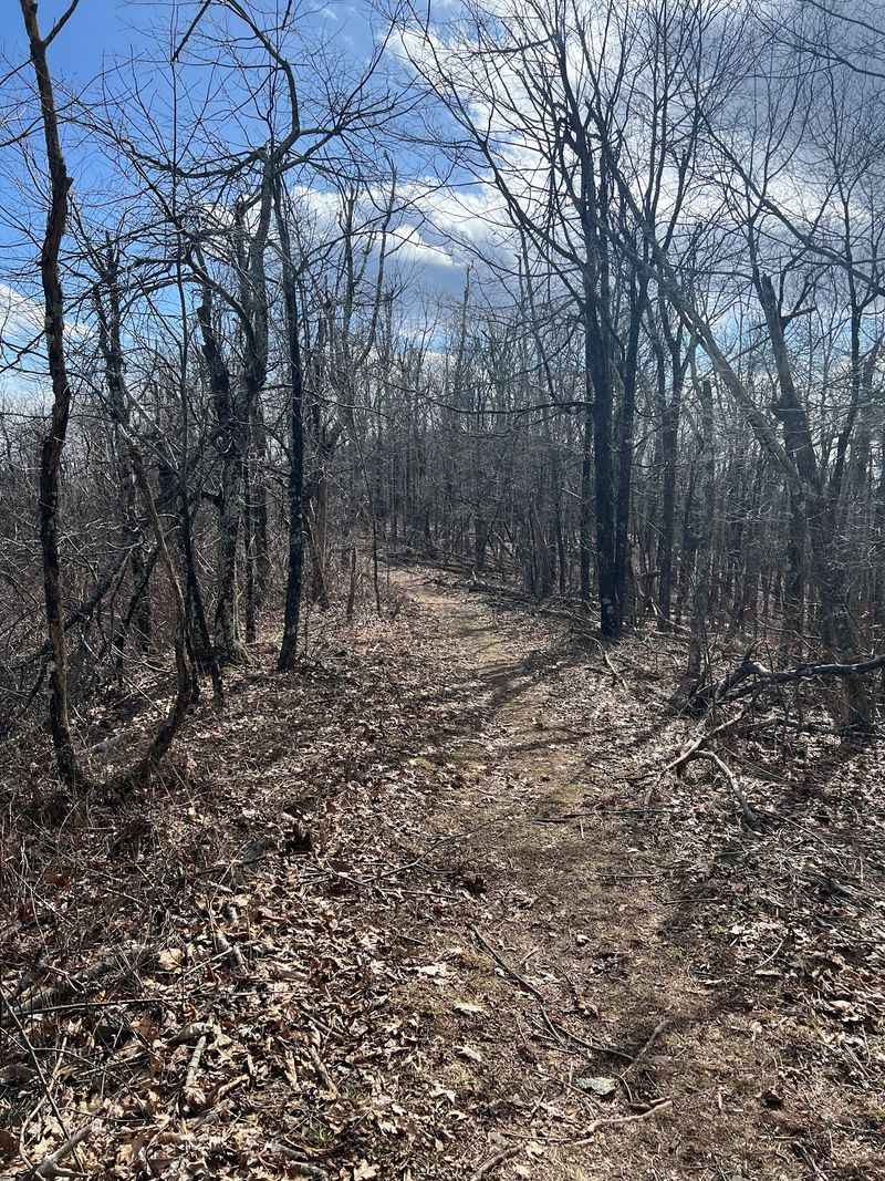 Finding Your Footing on a Path Less Traveled Finding Your Footing on a Path Less Traveled