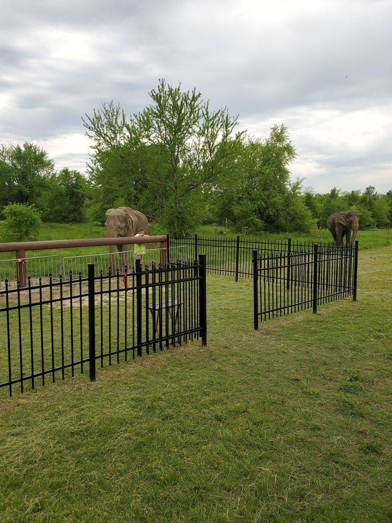 Finding Your Way To The Gentle Giants Finding Your Way To The Gentle Giants