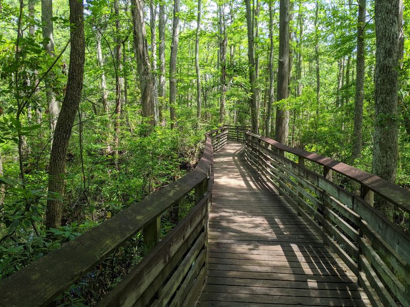 First Landing State Park, Virginia Beach