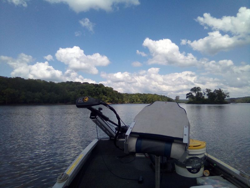 Fishing Lines and Bird Sightings Fishing Lines and Bird Sightings