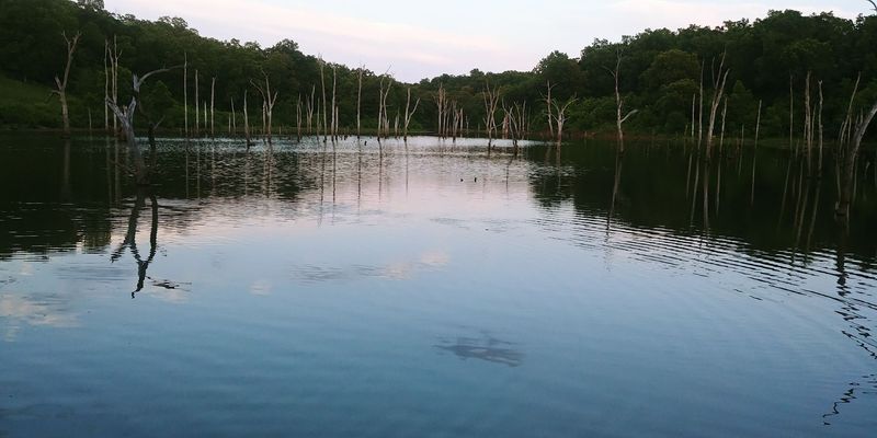Fishing That Keeps Anglers Coming Back