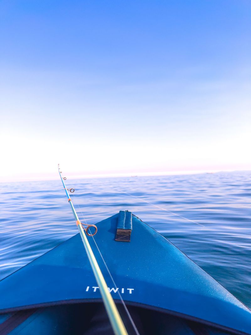 Fishing Waters, Kayaks, And Guided Looks From The Perimeter