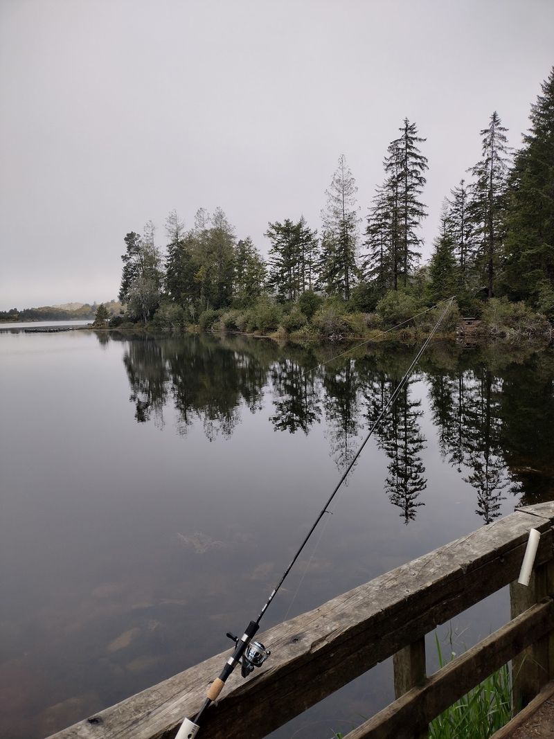 Fishing at a Lake That Actually Delivers
