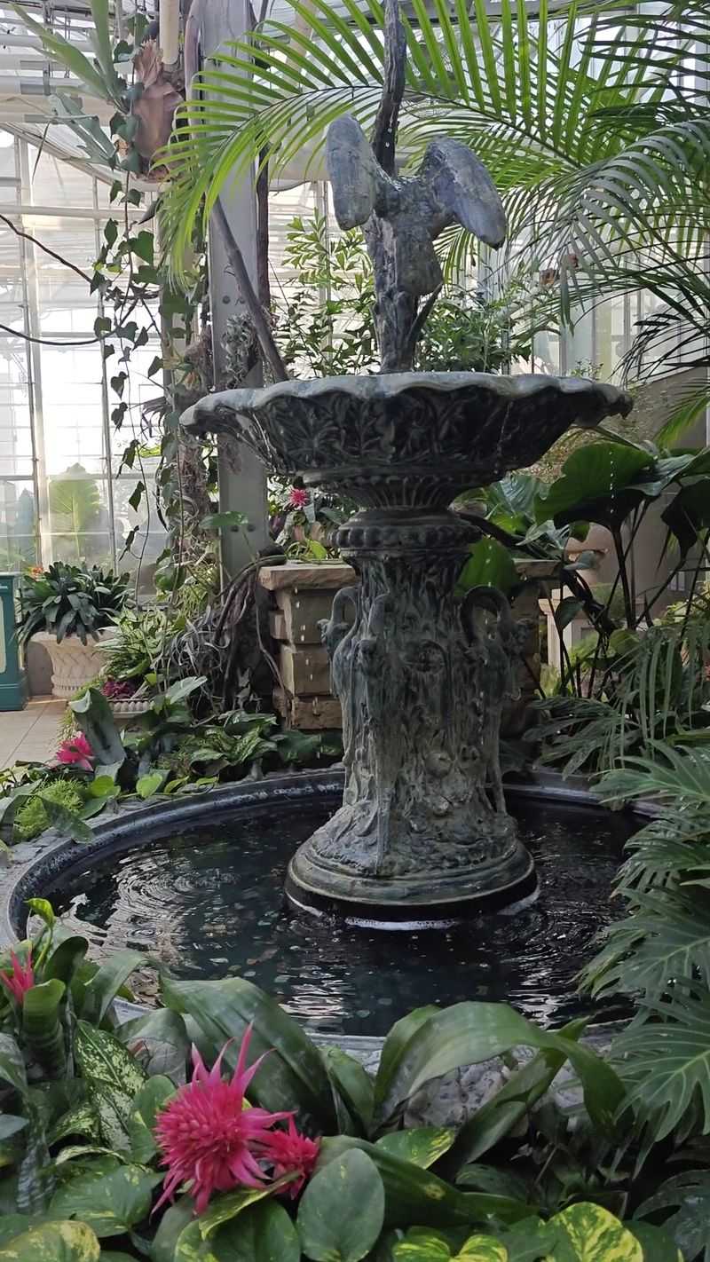 Five Stories of Tropical Green Inside the Lena Meijer Conservatory Five Stories of Tropical Green Inside the Lena Meijer Conservatory
