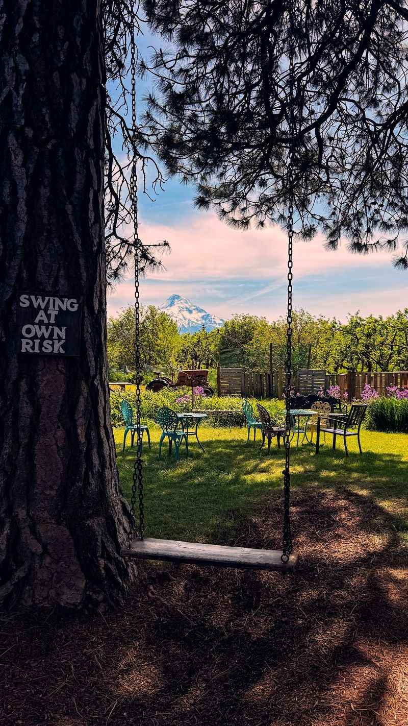 Flower Gardens, A Swing And Mountain Views