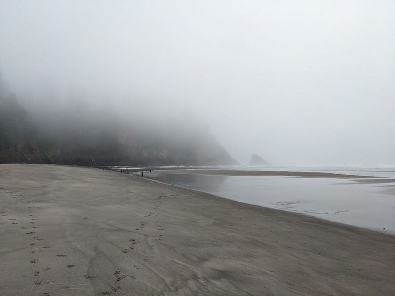 Fog, Gray Light and Why Photographers Love It Fog, Gray Light and Why Photographers Love It