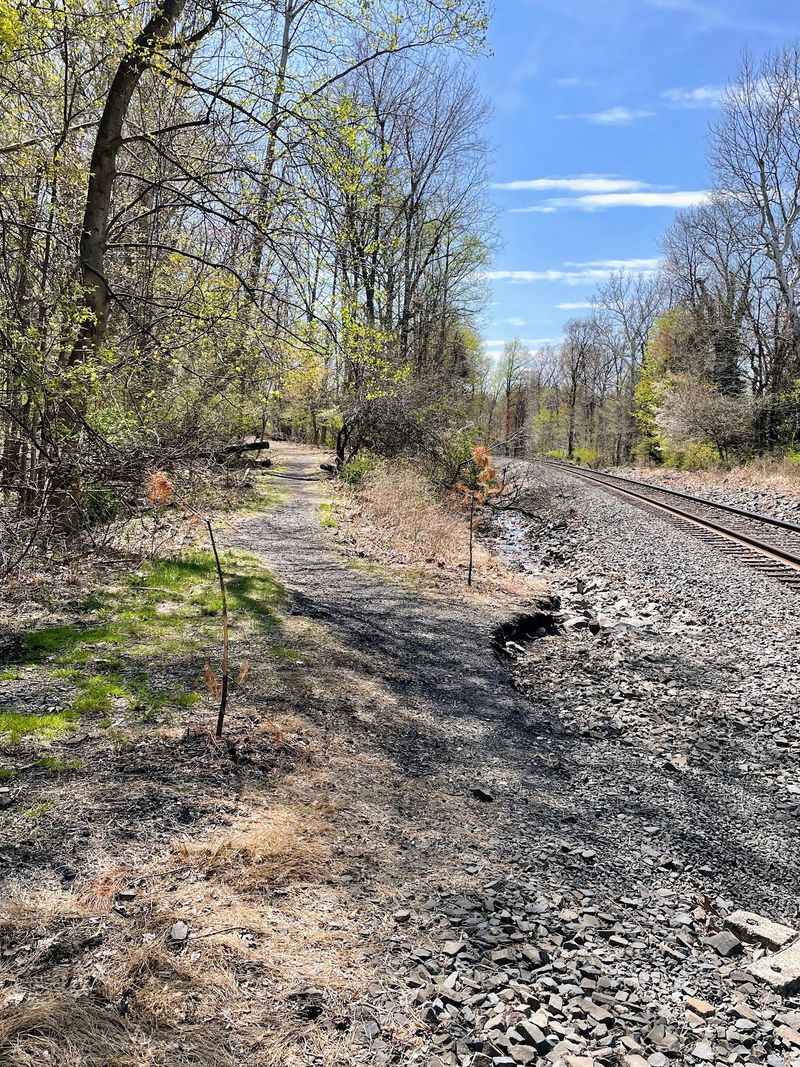 Following The Old Rail Line