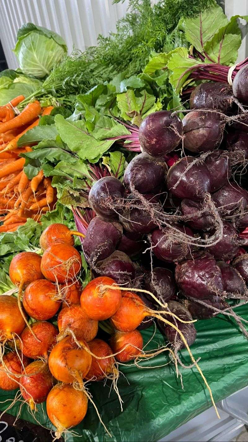 Food Assistance Programs Are Welcome Here Food Assistance Programs Are Welcome Here