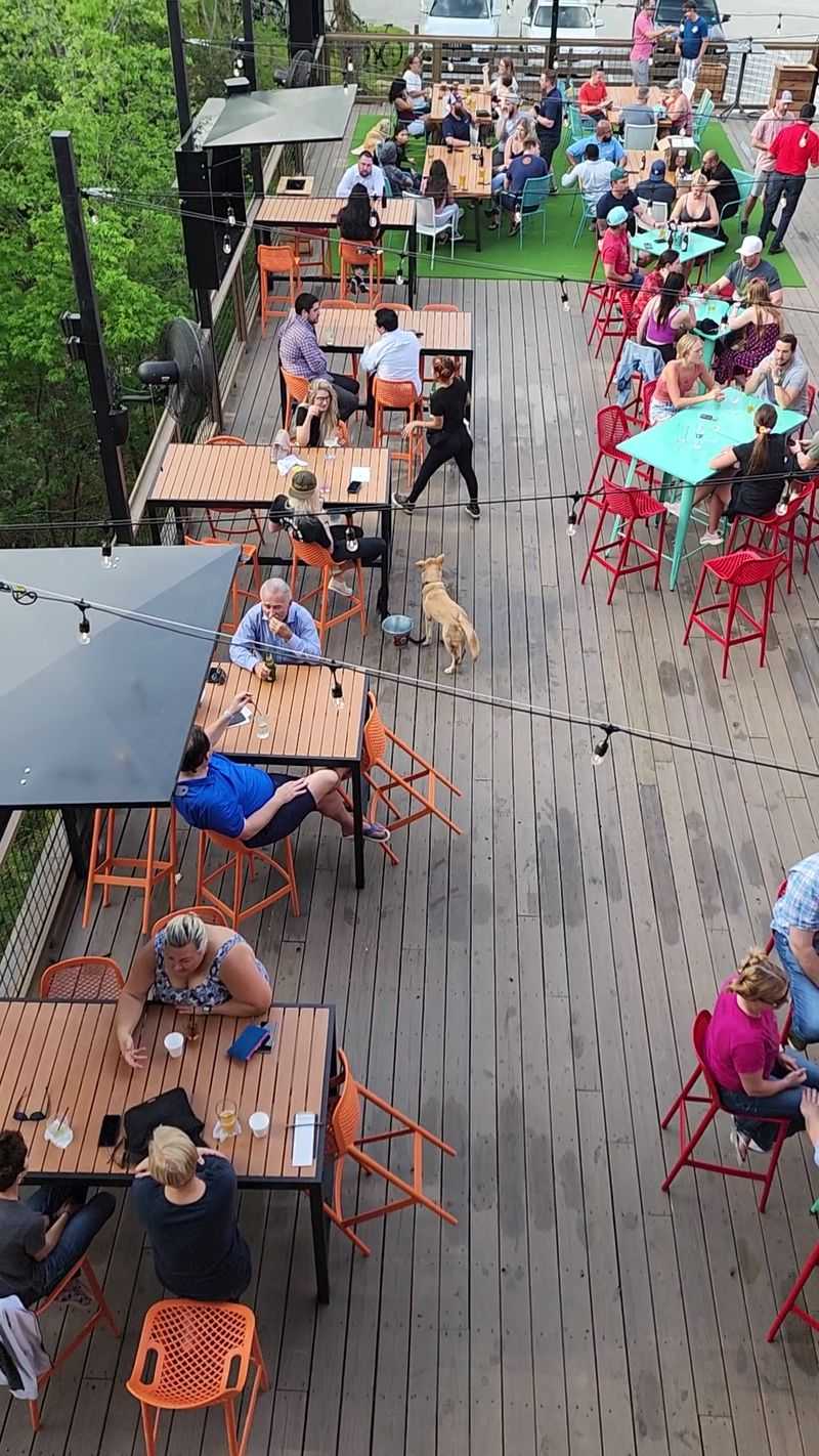 Food Trucks That Change The Story Every Visit