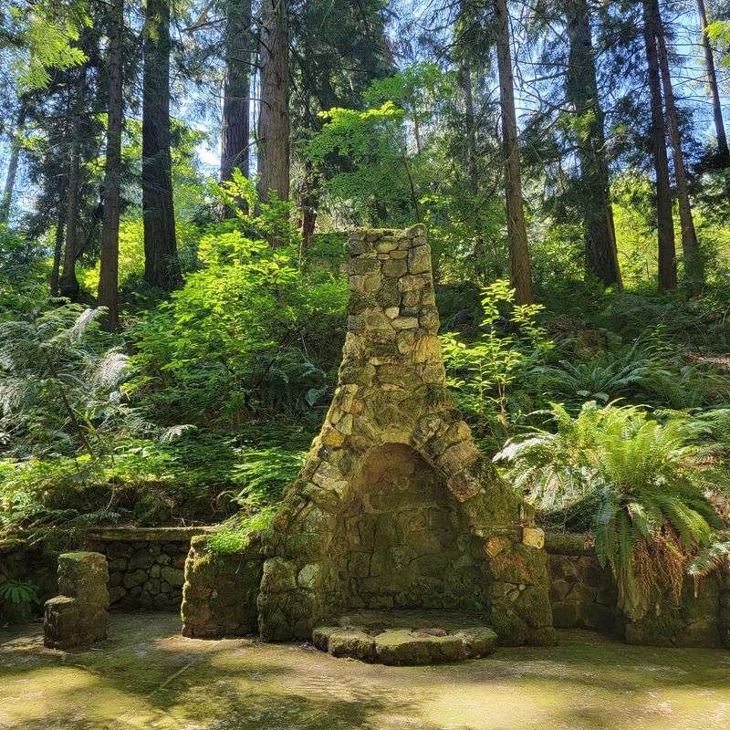 Forest Bathing, Guided Tours, and Garden Events