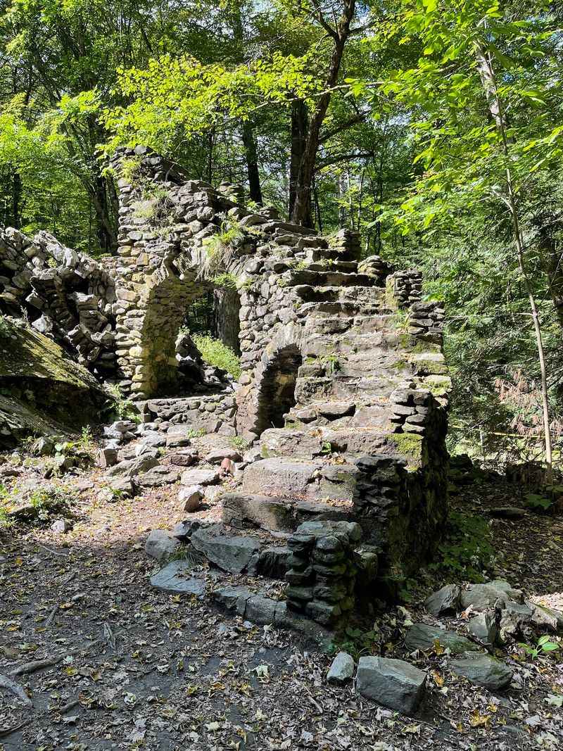 Forest Ruins of a Costume Designer's Party Castle