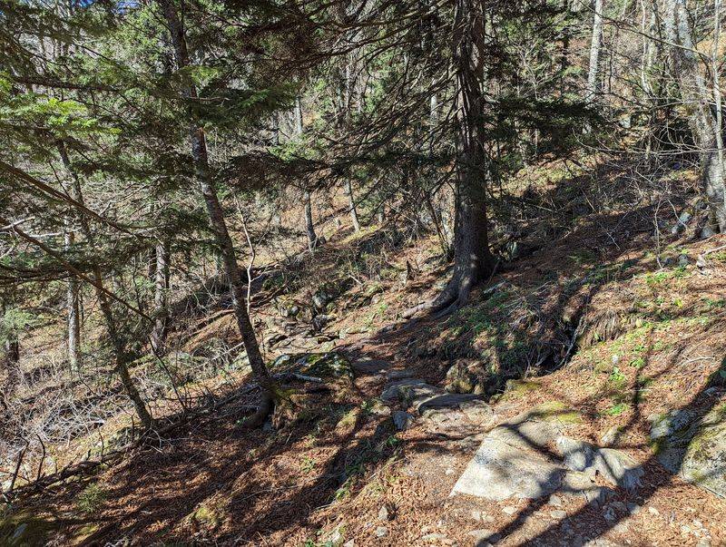 Fork Ridge Trail And Its Valley Overlooks Fork Ridge Trail And Its Valley Overlooks