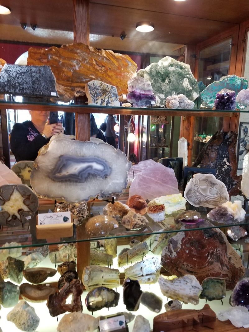 Fossils, Slabs, and Oddities in the Back