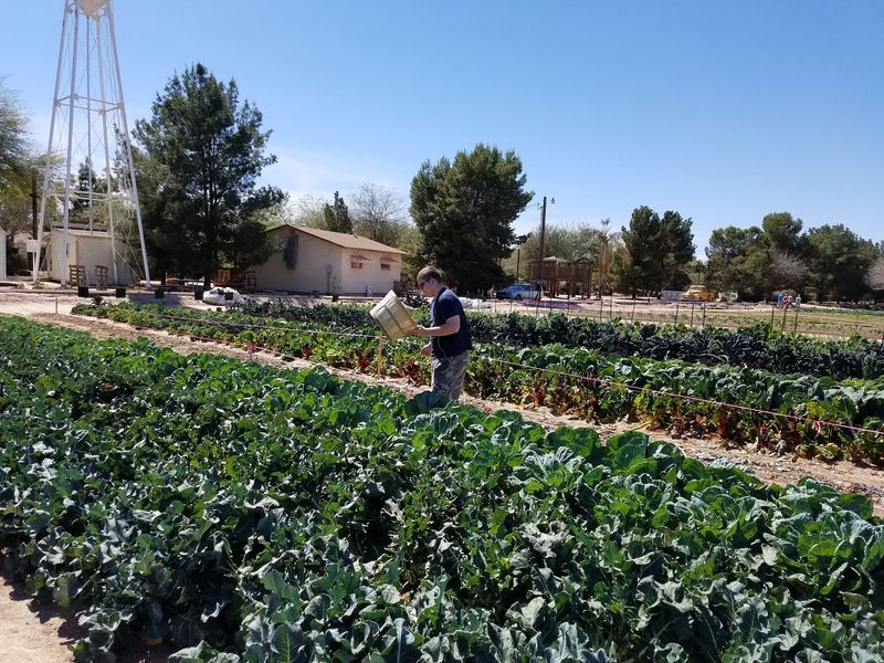 Four Generations of Family History in the Soil