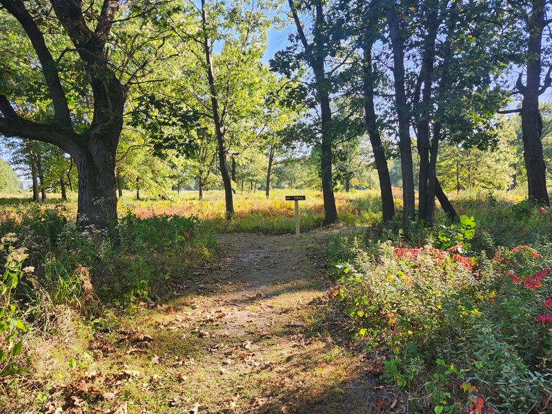 Four Seasons, Four Completely Different Walks Four Seasons, Four Completely Different Walks