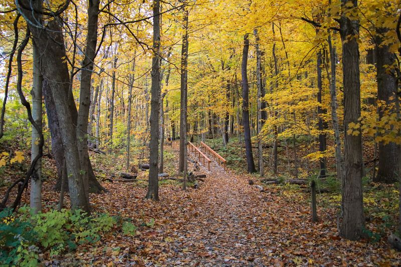 Four Seasons, Four Completely Different Walks Four Seasons, Four Completely Different Walks