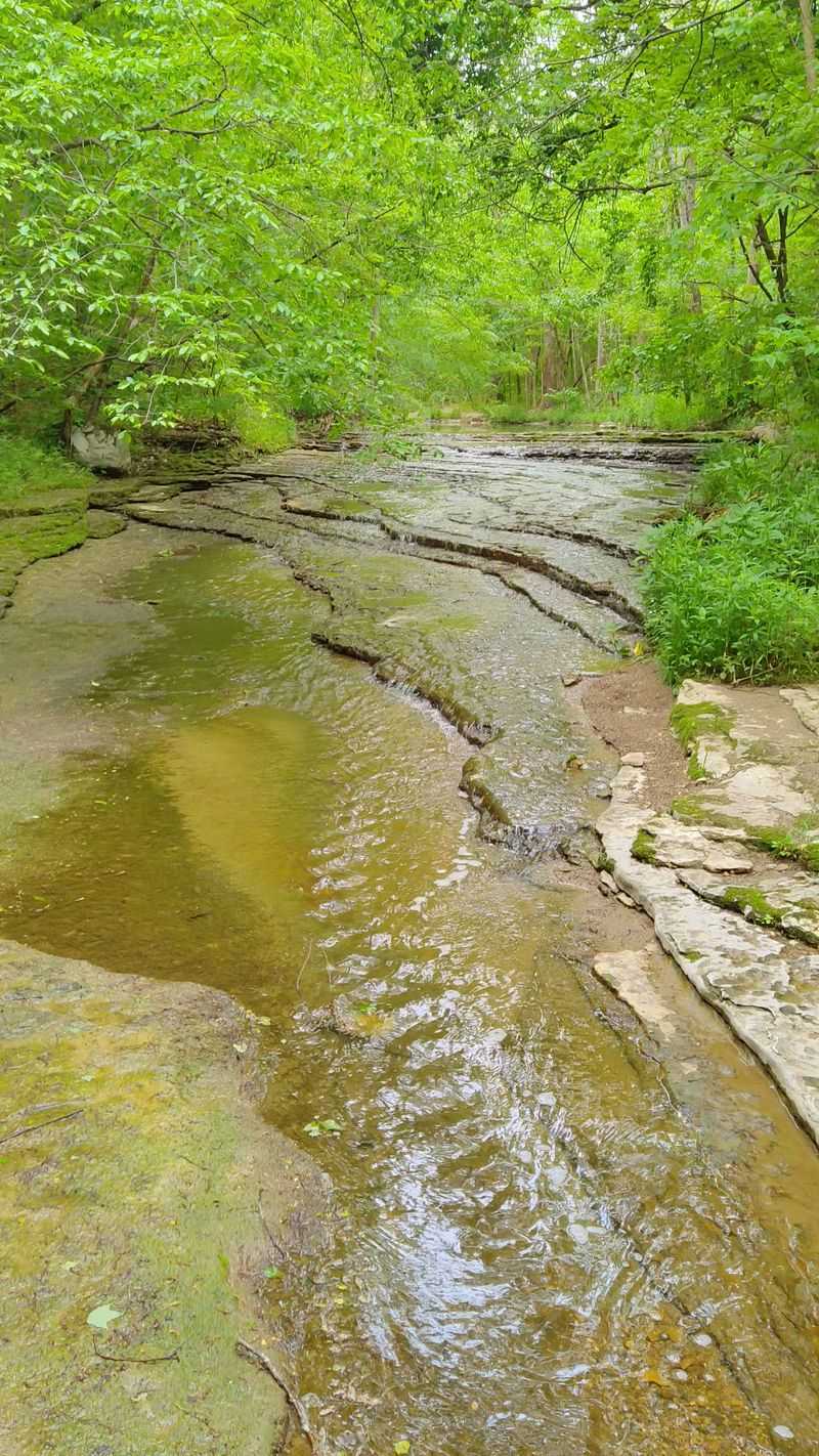 Free Admission and a Genuinely Peaceful Atmosphere