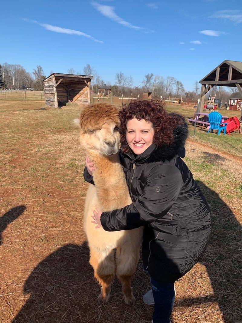 Free Alpaca Hugs Are Exactly as Good as They Sound