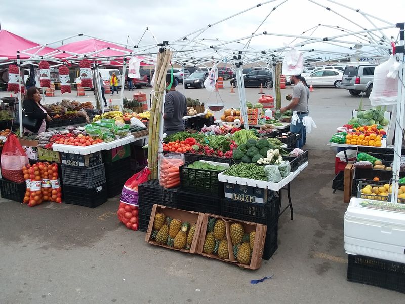 Fresh Produce and Specialty Foods That Actually Surprise You Fresh Produce and Specialty Foods That Actually Surprise You