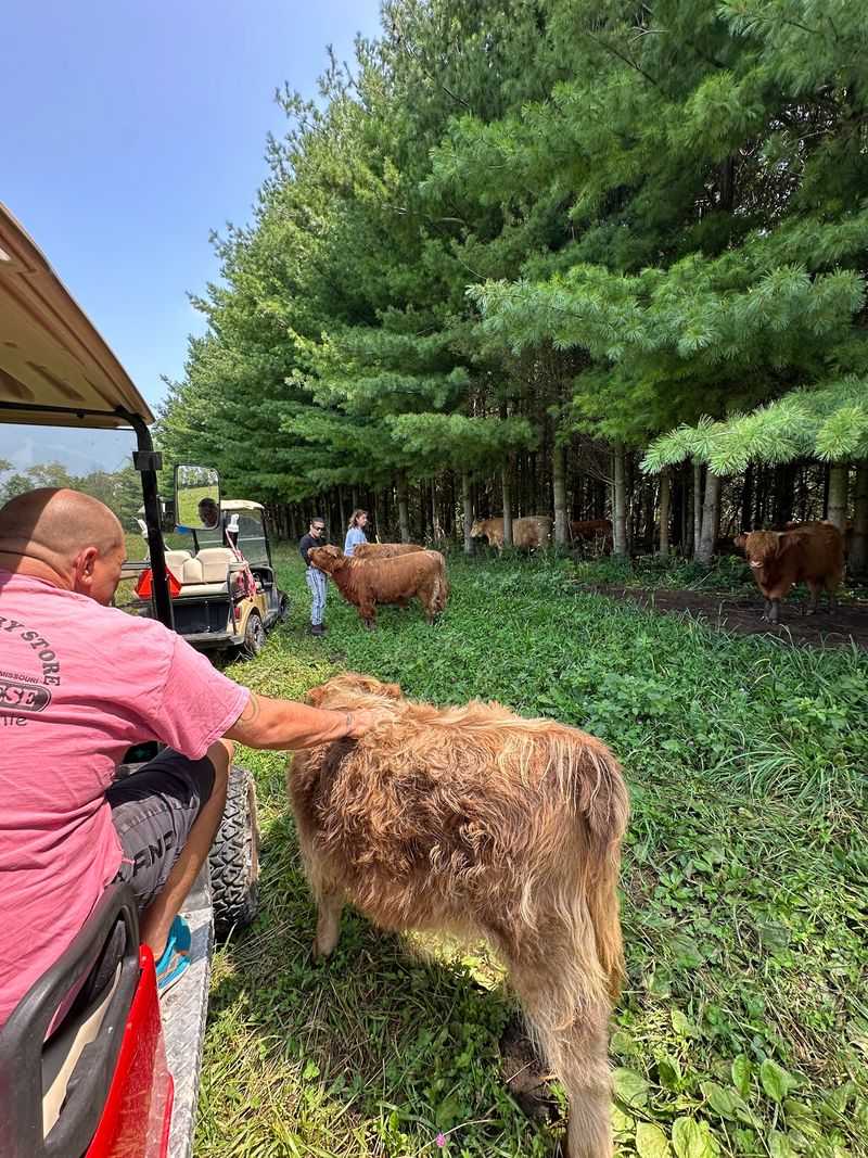 From An Irish Road Trip To An Indiana Fold
