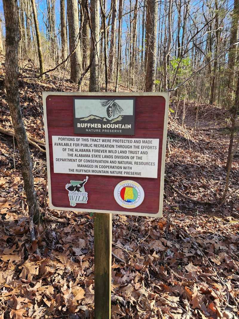 From Industrial Scar To Grassroots Conservation Win From Industrial Scar To Grassroots Conservation Win