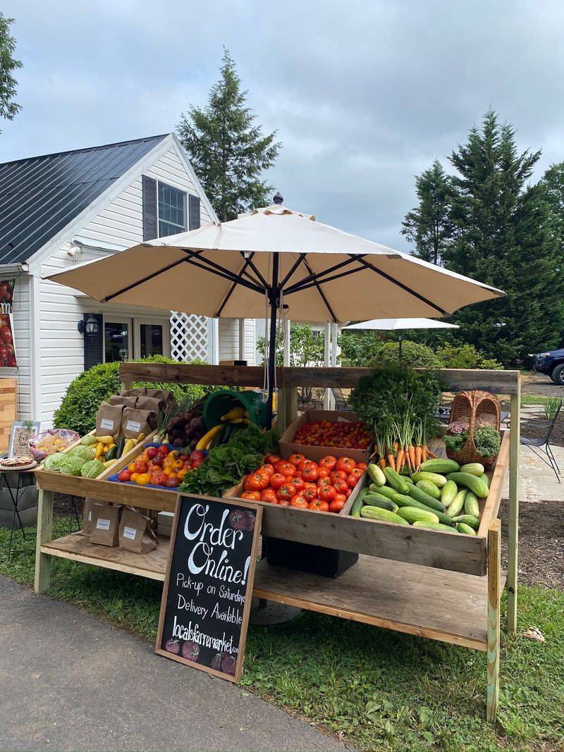 From Lynn's Garden to Your Plate From Lynn's Garden to Your Plate