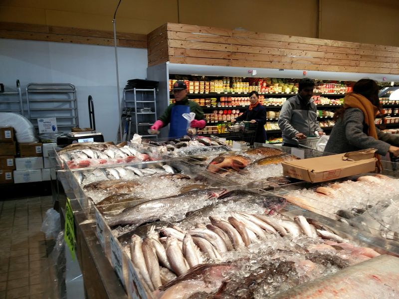 From Snacks to Fresh Fish, All Here From Snacks to Fresh Fish, All Here