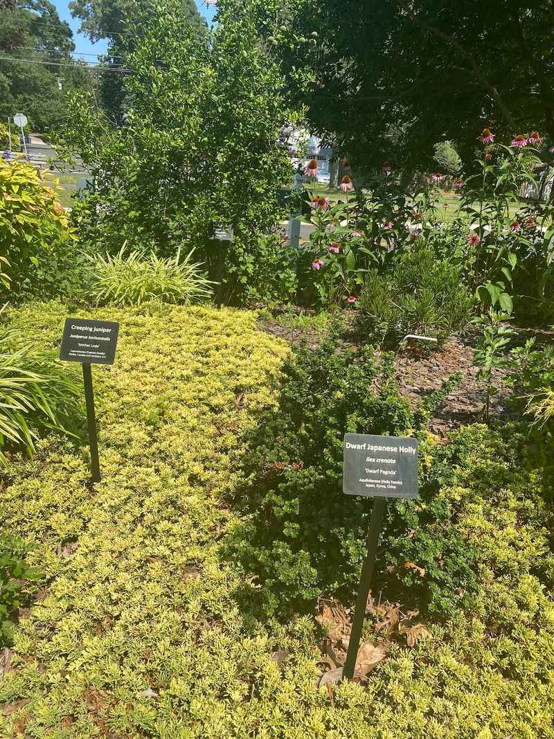 From Utility Land To Green Retreat