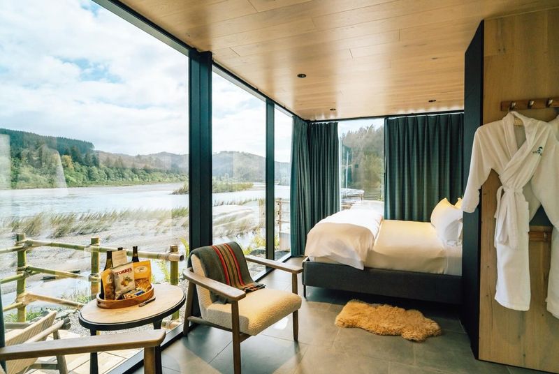 Glass Cabins For Sleeping Under The Trees